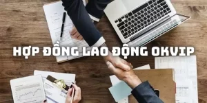 Hợp đồng lao động tại OKVIP